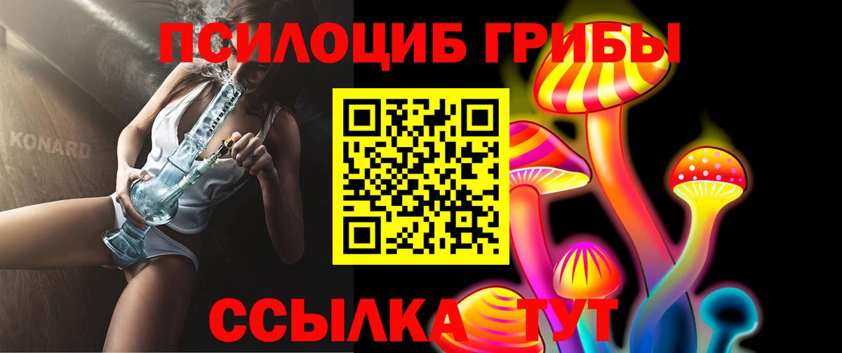 Псилоцибиновые грибы мухоморы Ногинск